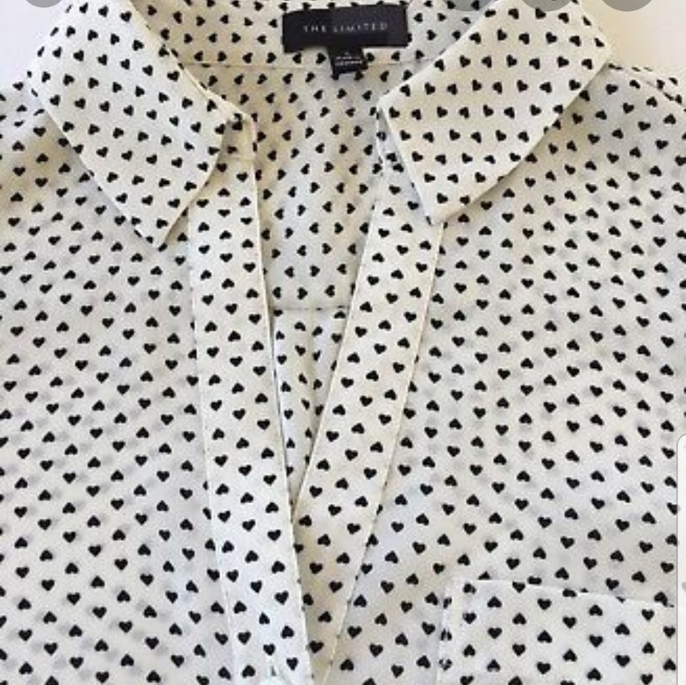 The limited blouse